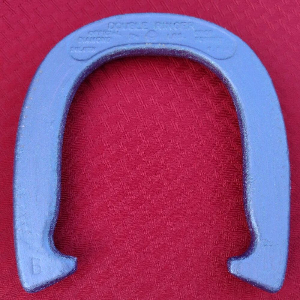 Shimmering Purple Horseshoe